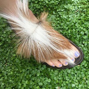 Norton and Hodges Cape Plakkies